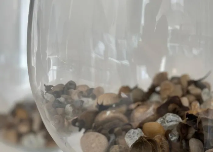 Pool On The * Burgas